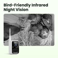 Birdfy night vision image demonstrating IR view and discreet nocturnal monitoring
