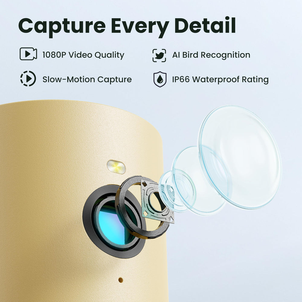 Birdfy app push notification on phone showing instant visit alerts benefit