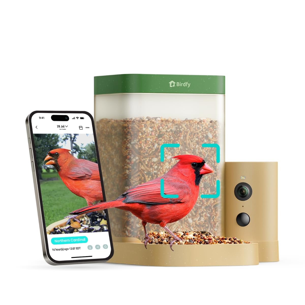 Birdfy front view showing feeder design and accessible tray benefit