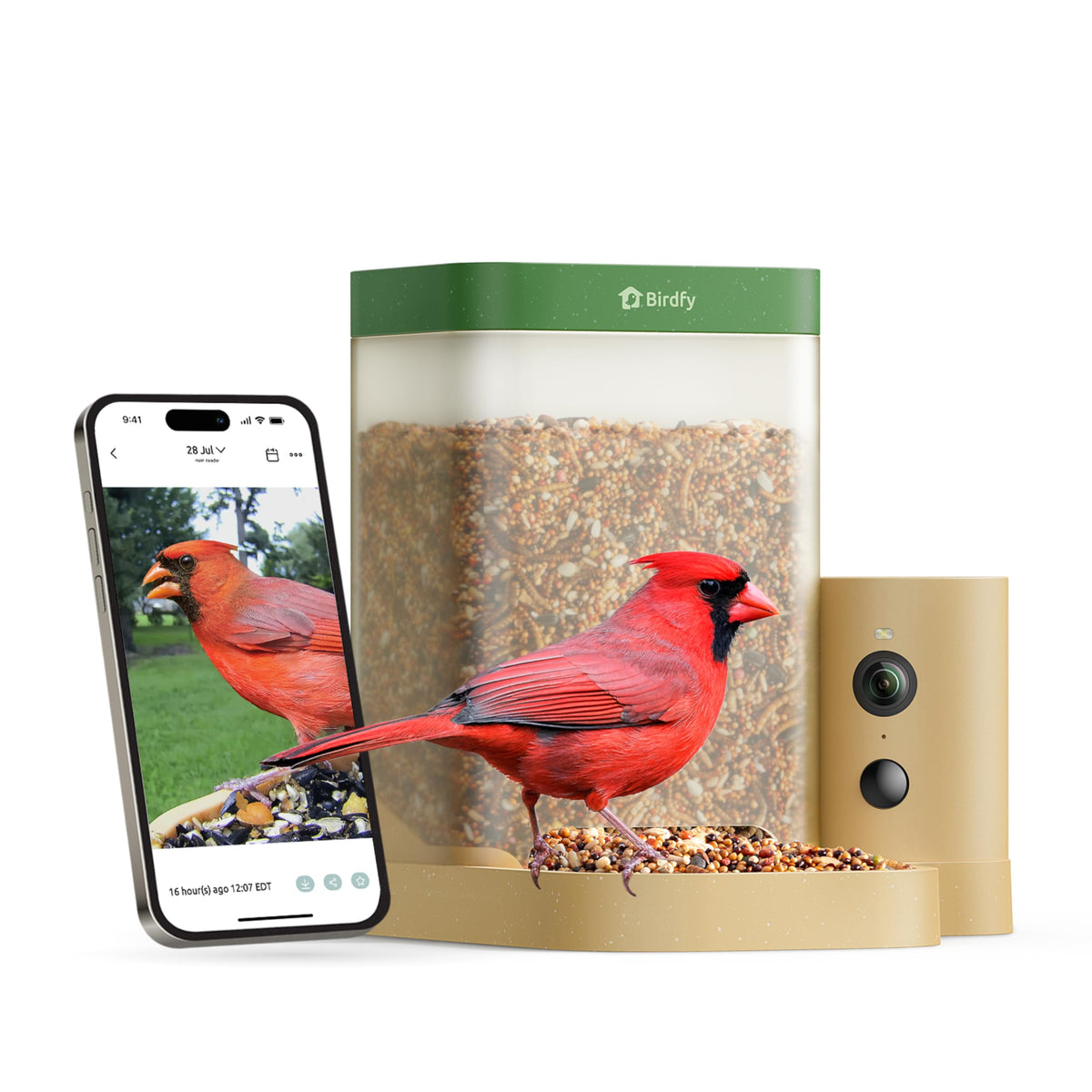 Birdfy front view showing feeder entrance and capacity, clear feeding benefit