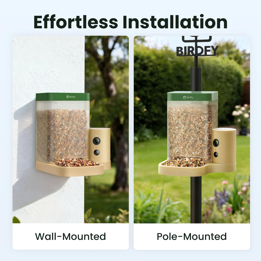 Birdfy mounted on a pole demonstrating secure installation benefit