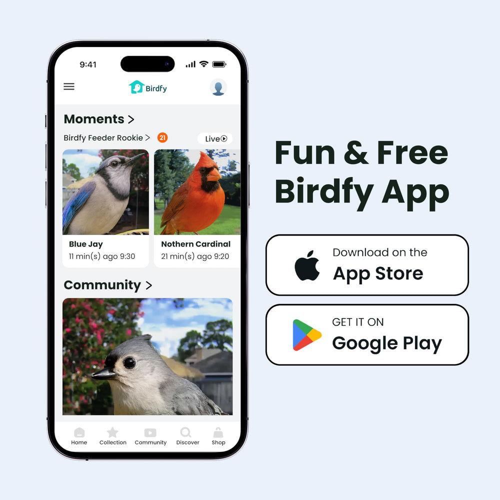 Birdfy beside a hand for scale indicating compact, lightweight design