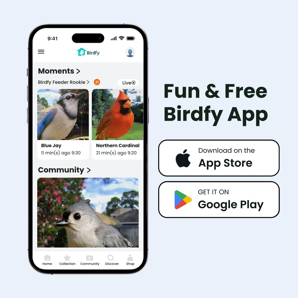 Birdfy held in hand showing compact scale and easy placement benefit