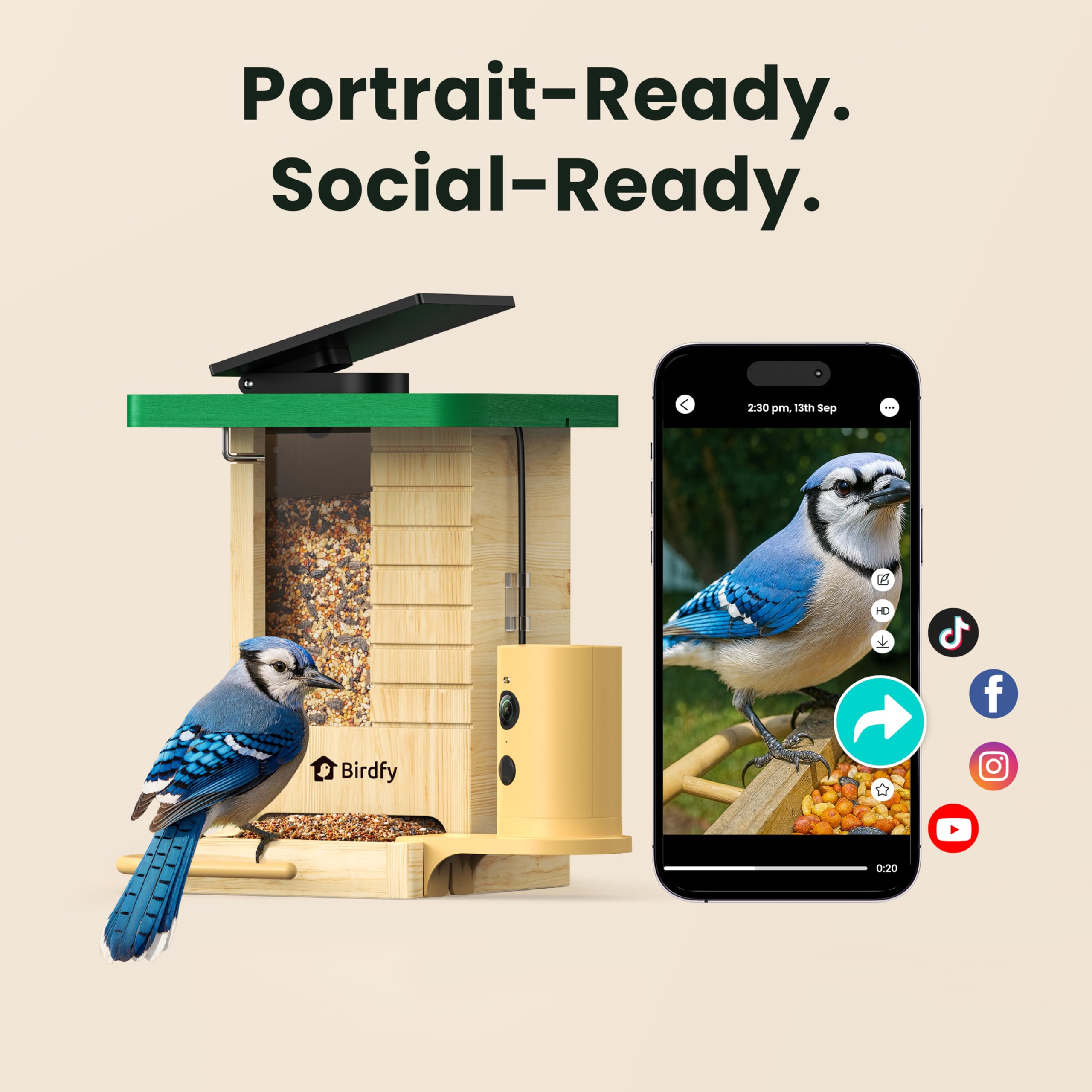 Birdfy size comparison next to hand showing compact scale and placement options