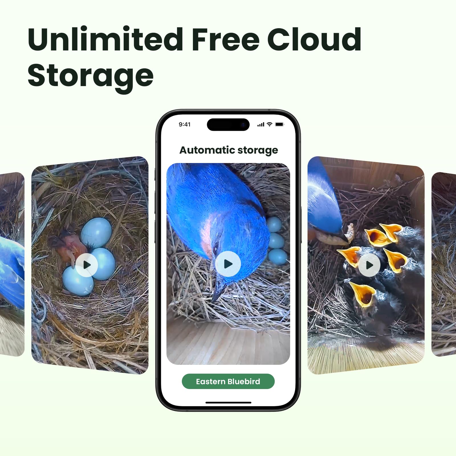 Birdfy size comparison with hand illustrating compact scale and discreet presence