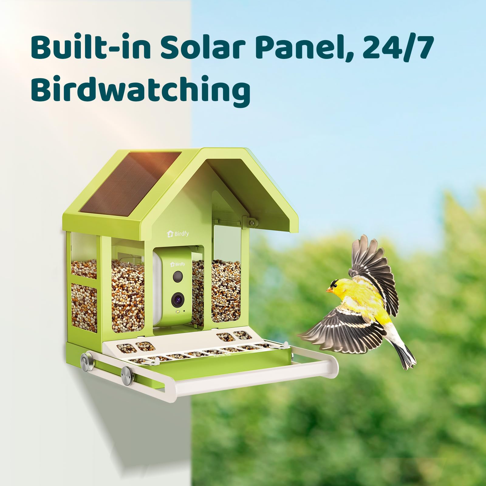 Birdfy next to ruler for scale showing compact outdoor footprint