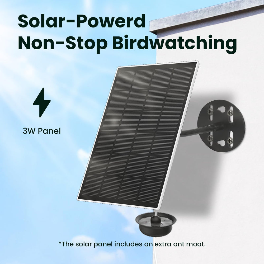 Birdfy size shown next to a hand to illustrate compact outdoor scale