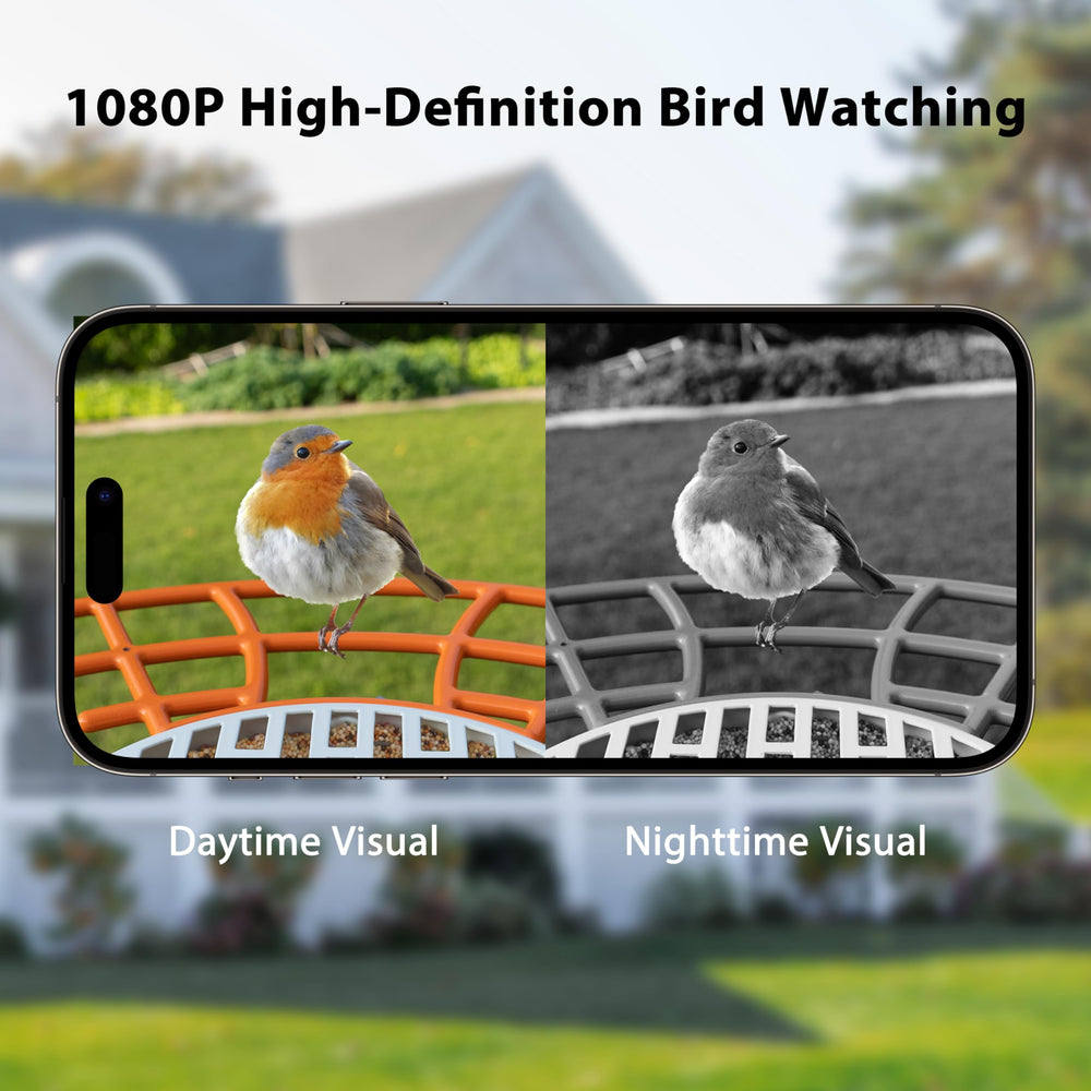 Birdkiss app screenshot with notification enabling instant alerts and saved videos