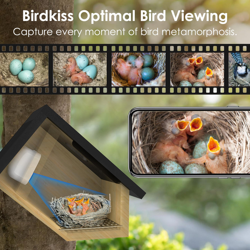Birdkiss interior camera close-up displaying lens and angle for clear footage