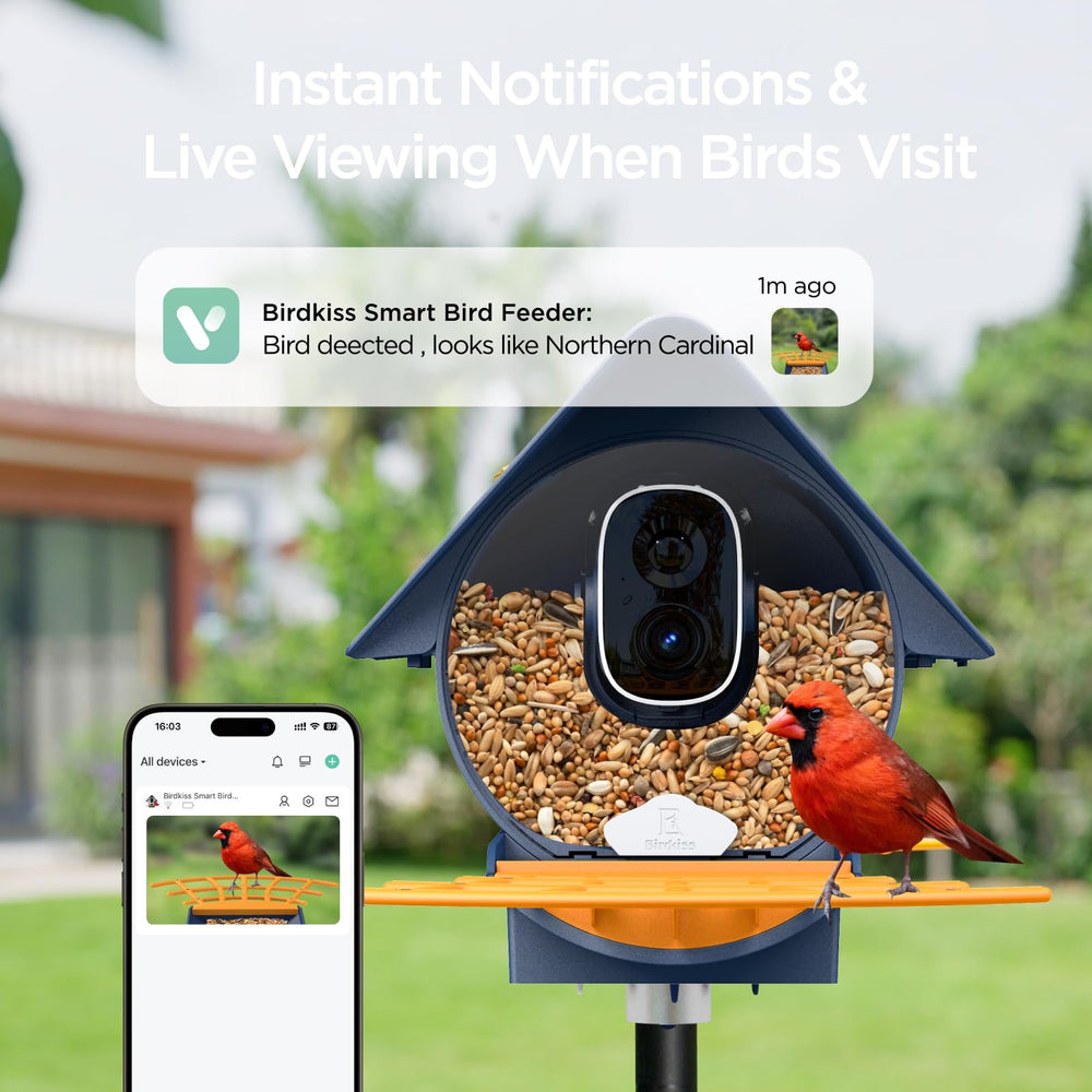 Birdkiss camera lens close-up highlighting clear 1080p capture quality