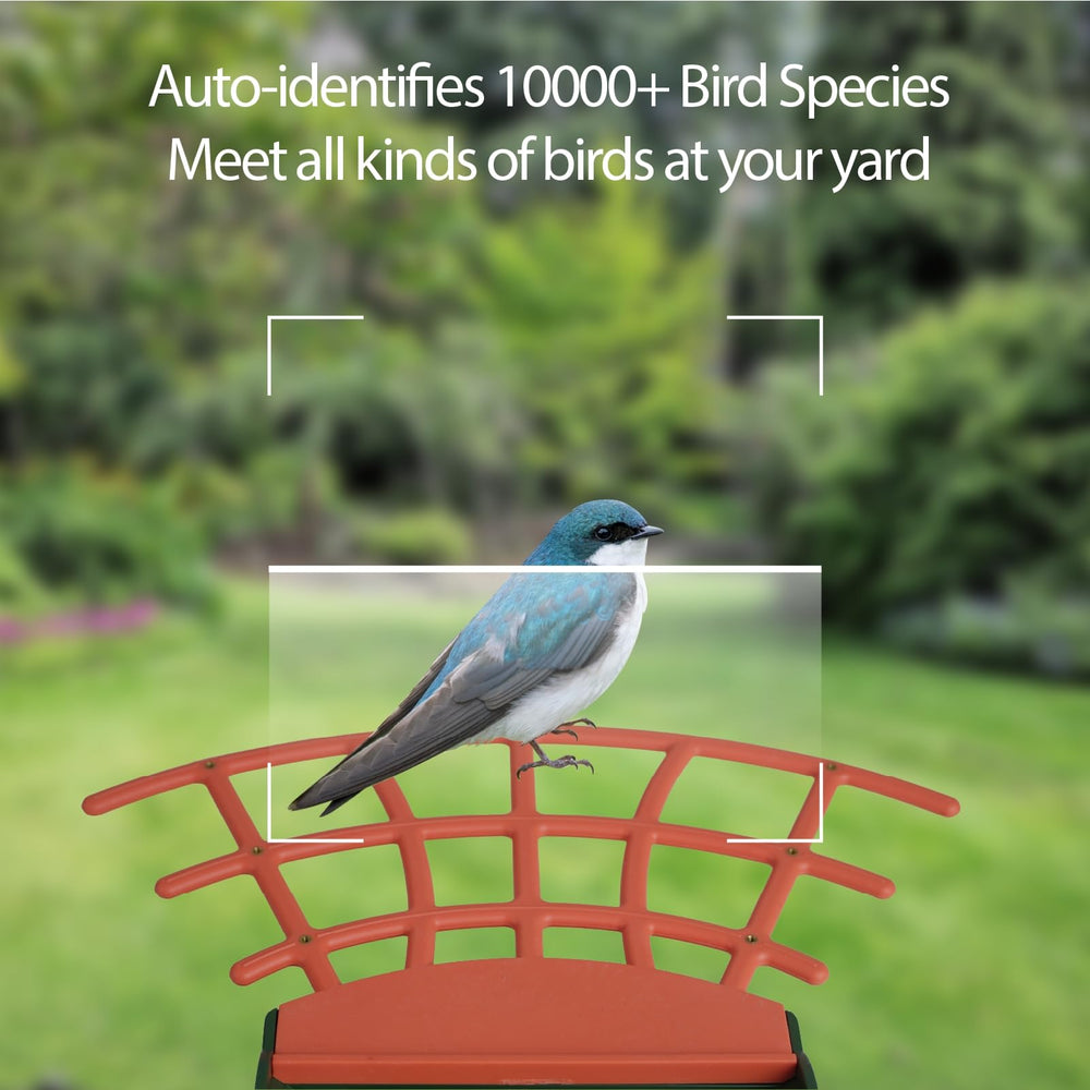 Birdkiss camera lens close-up highlighting 1080p clarity and wide-angle reach