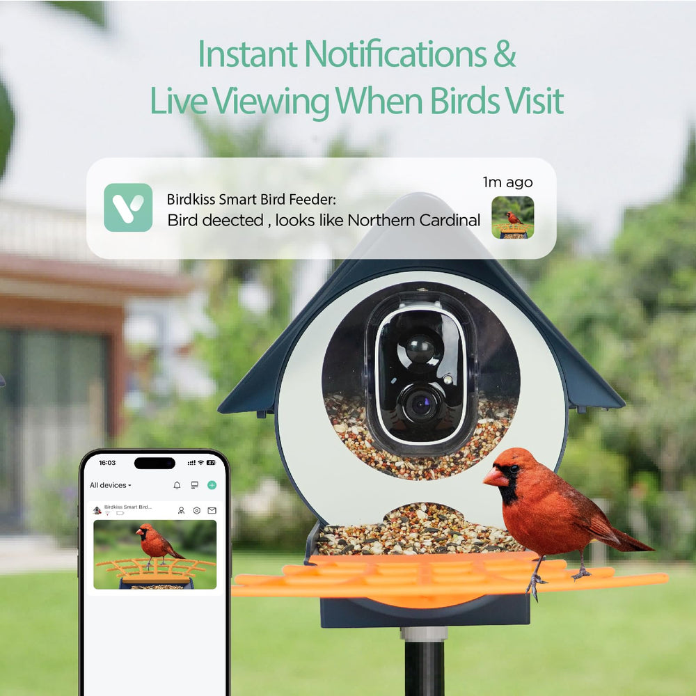 Birdkiss camera lens detail with wide-angle view capturing better bird footage