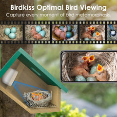 Birdkiss close-up of entrance hole with metal protector showing predator safety