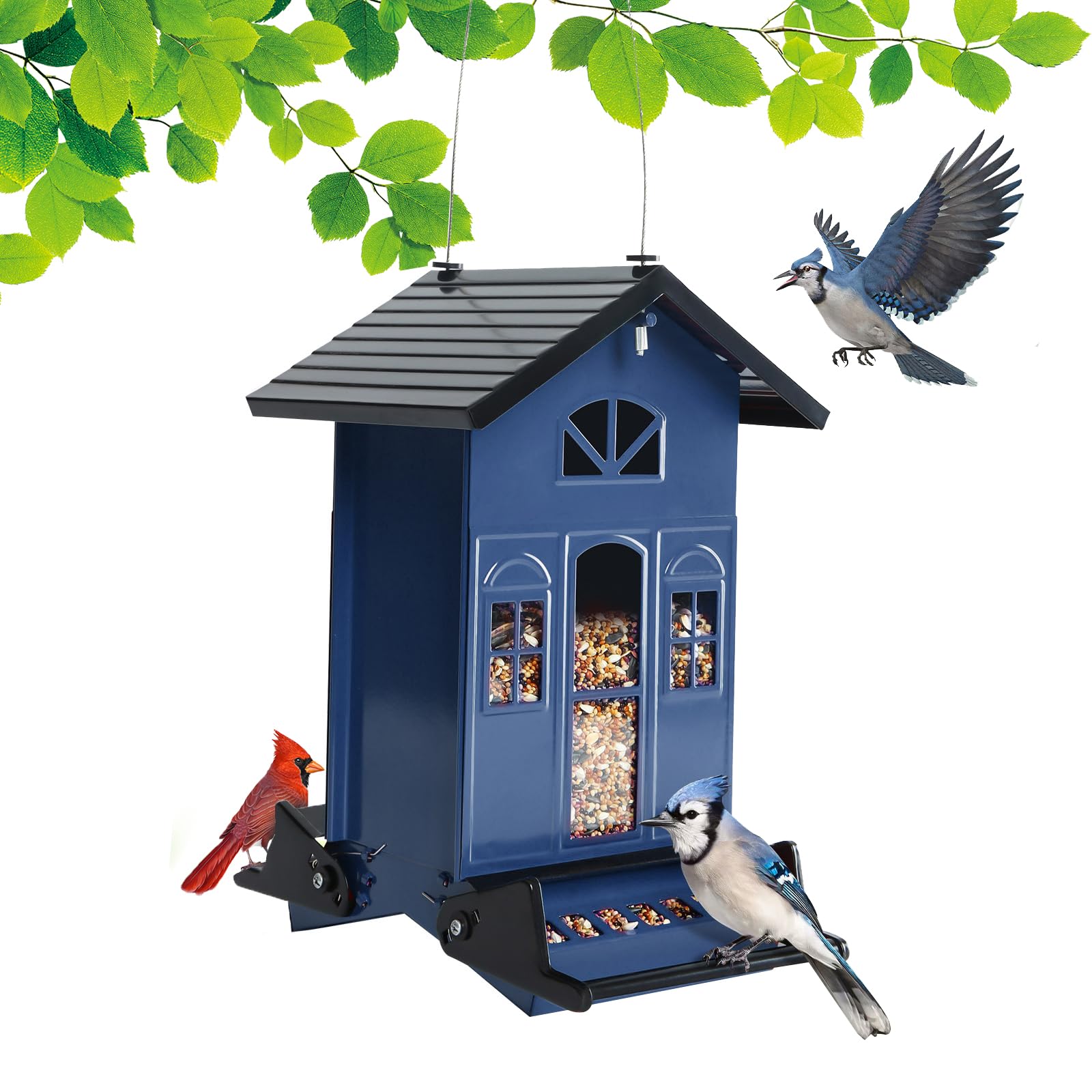 Birdkiss front view showing country house feeder attracting birds and protecting seed