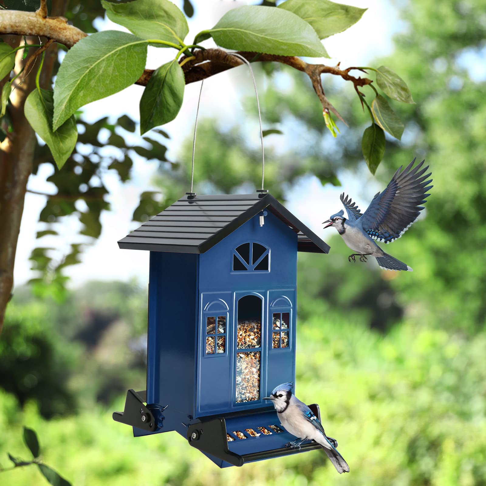 Birdkiss decorative artwork panel highlighting country house style and curb appeal