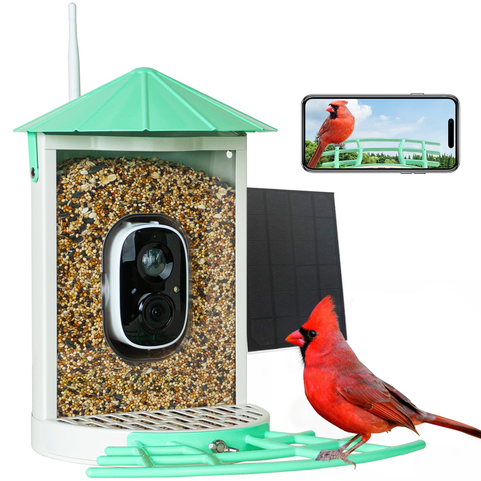 Birdkiss feeder front view showing metal body and seed tray, clear viewing benefit