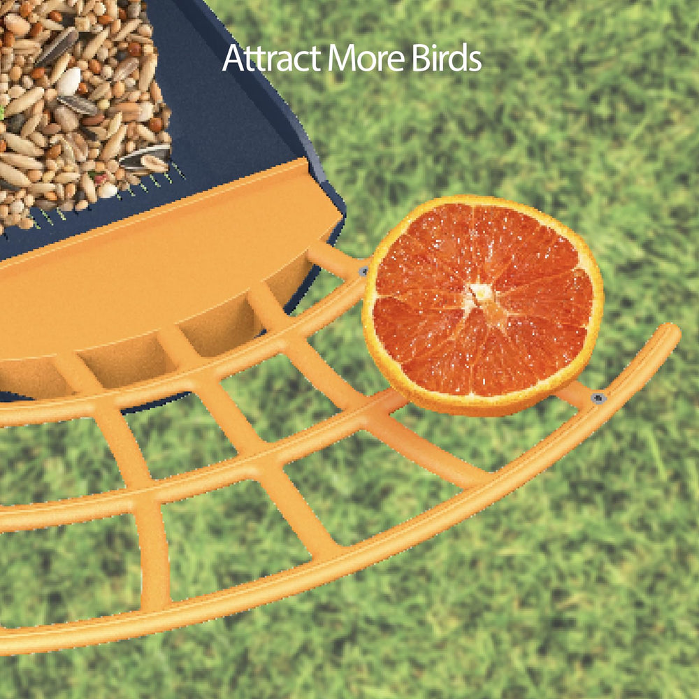 Birdkiss feeder in use with sparrow feeding and instant app notification benefit