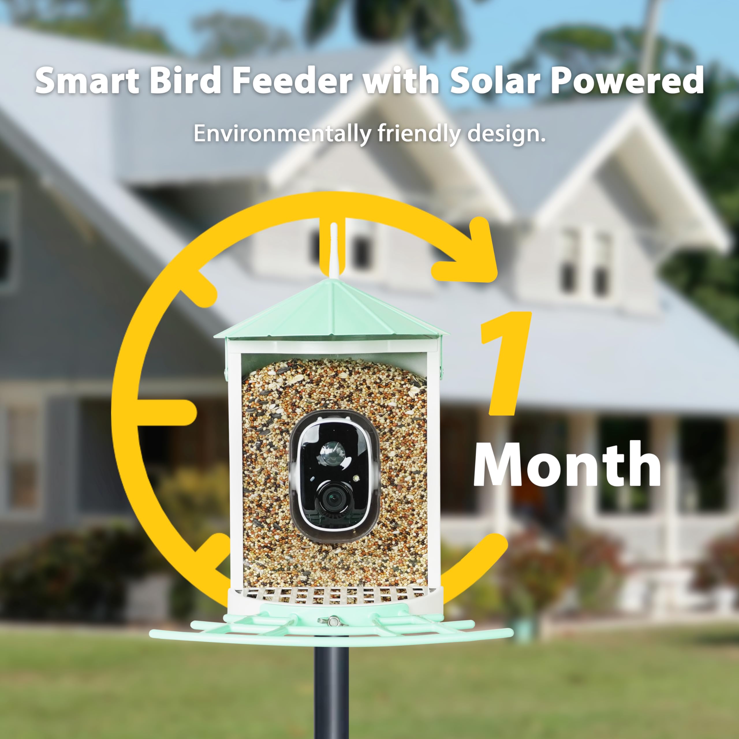Birdkiss feeder in use with birds perched, capturing natural behavior and moments