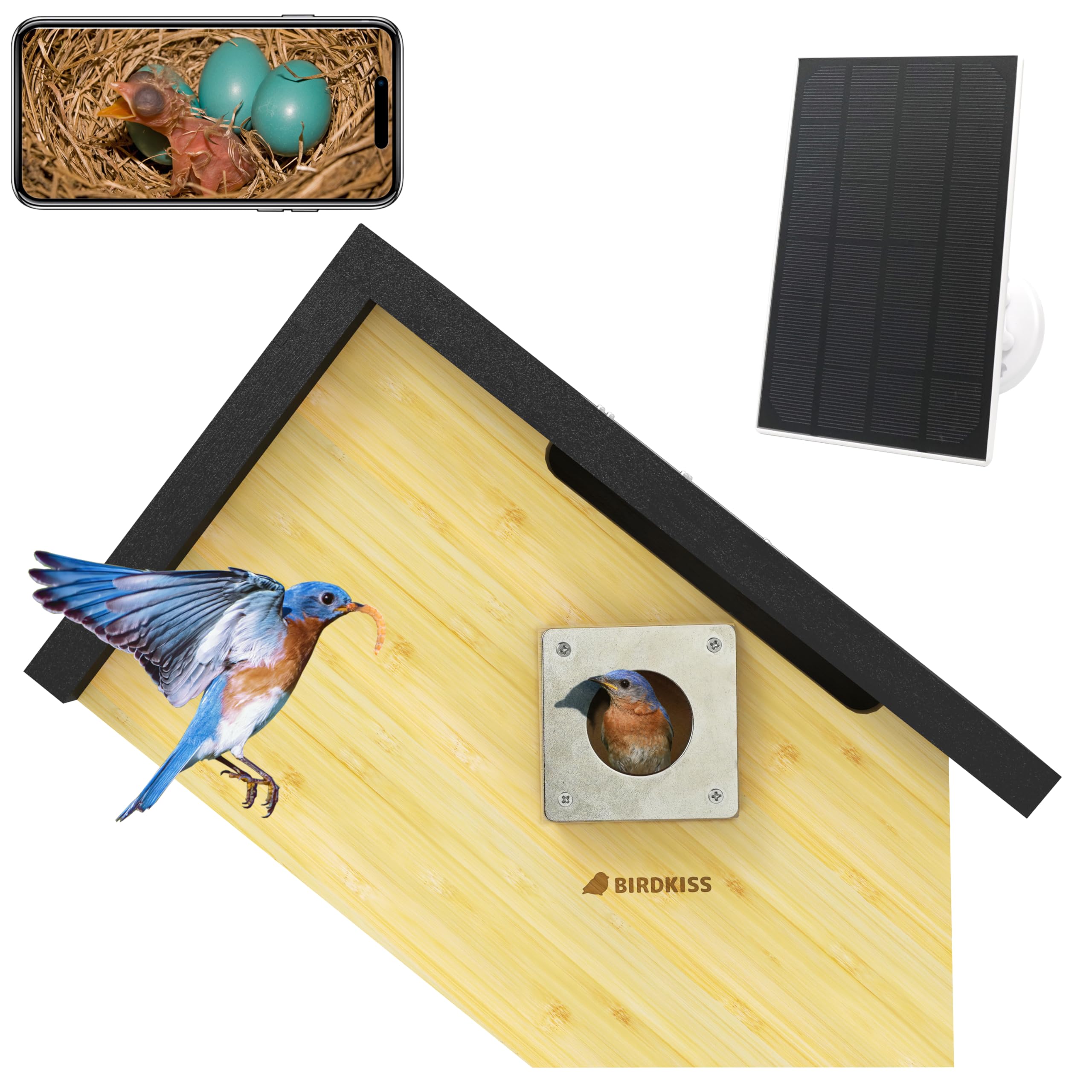 Birdkiss front view mounted outdoors showing entrance and camera benefit: safe monitoring
