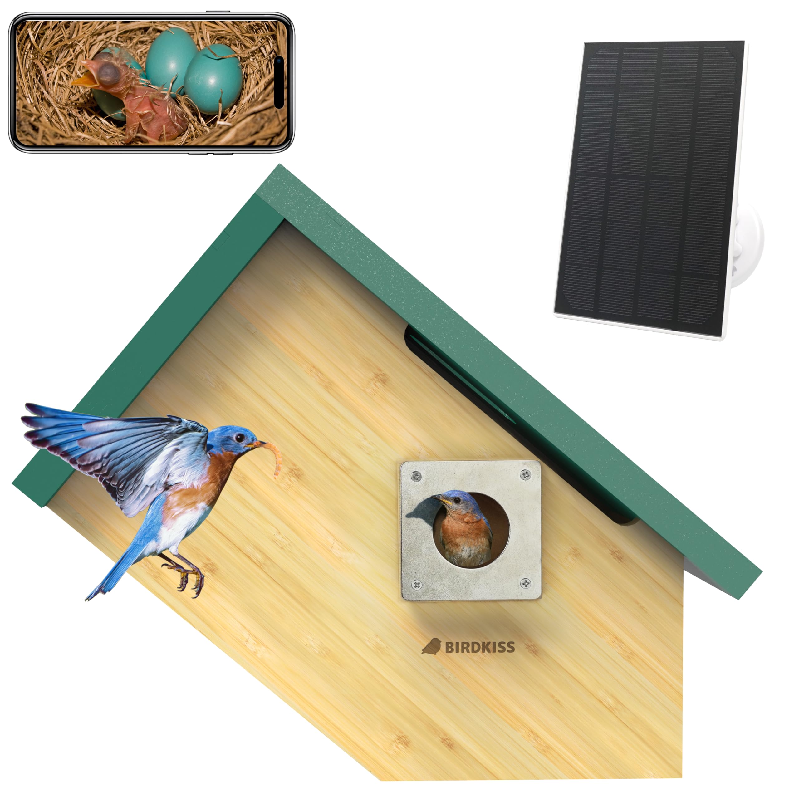 Birdkiss front view of green bird house showing weatherproof design and aesthetic appeal