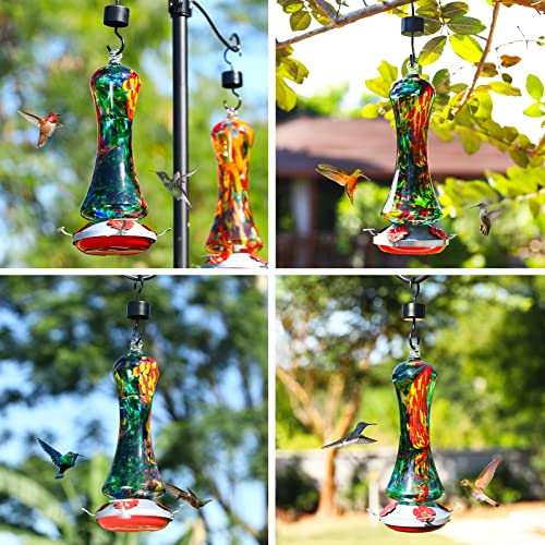 Birdkiss feeder with hummingbird feeding demonstrating backyard attraction