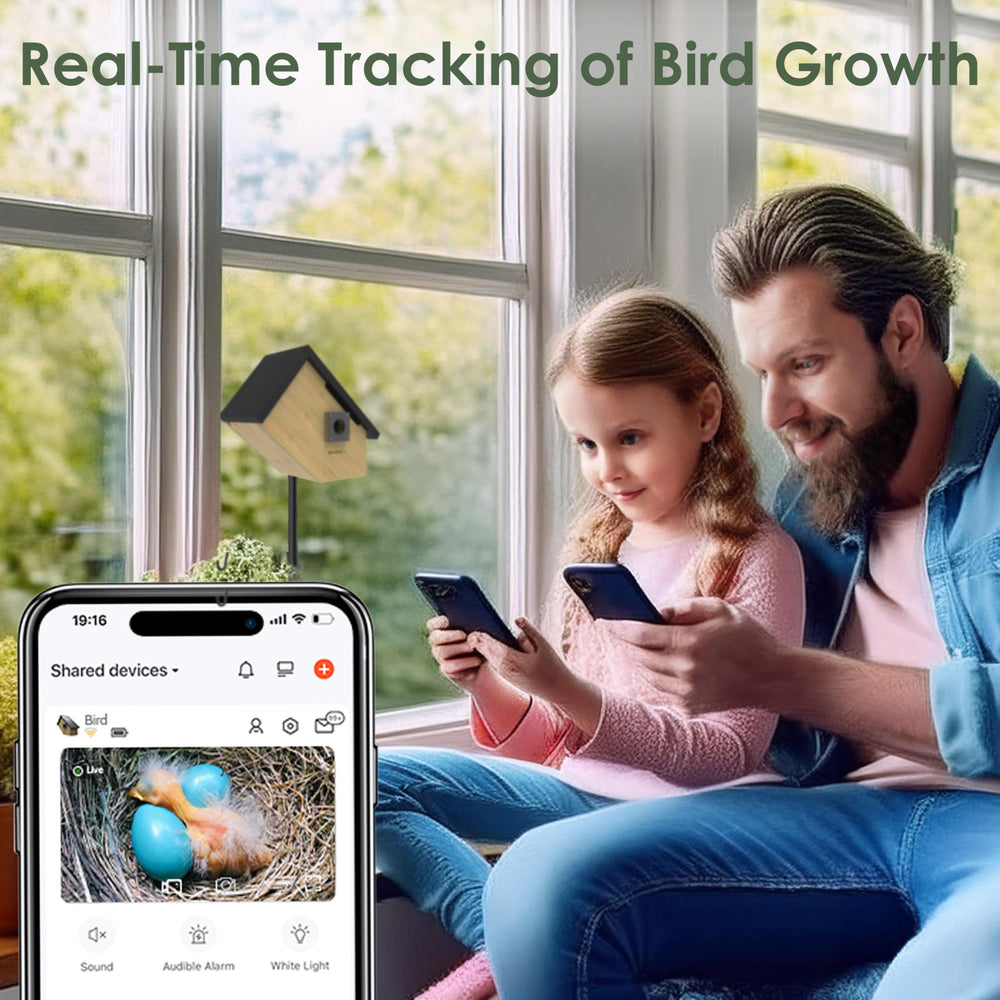 Birdkiss mounted on a tree with birds nearby demonstrating natural observation benefit