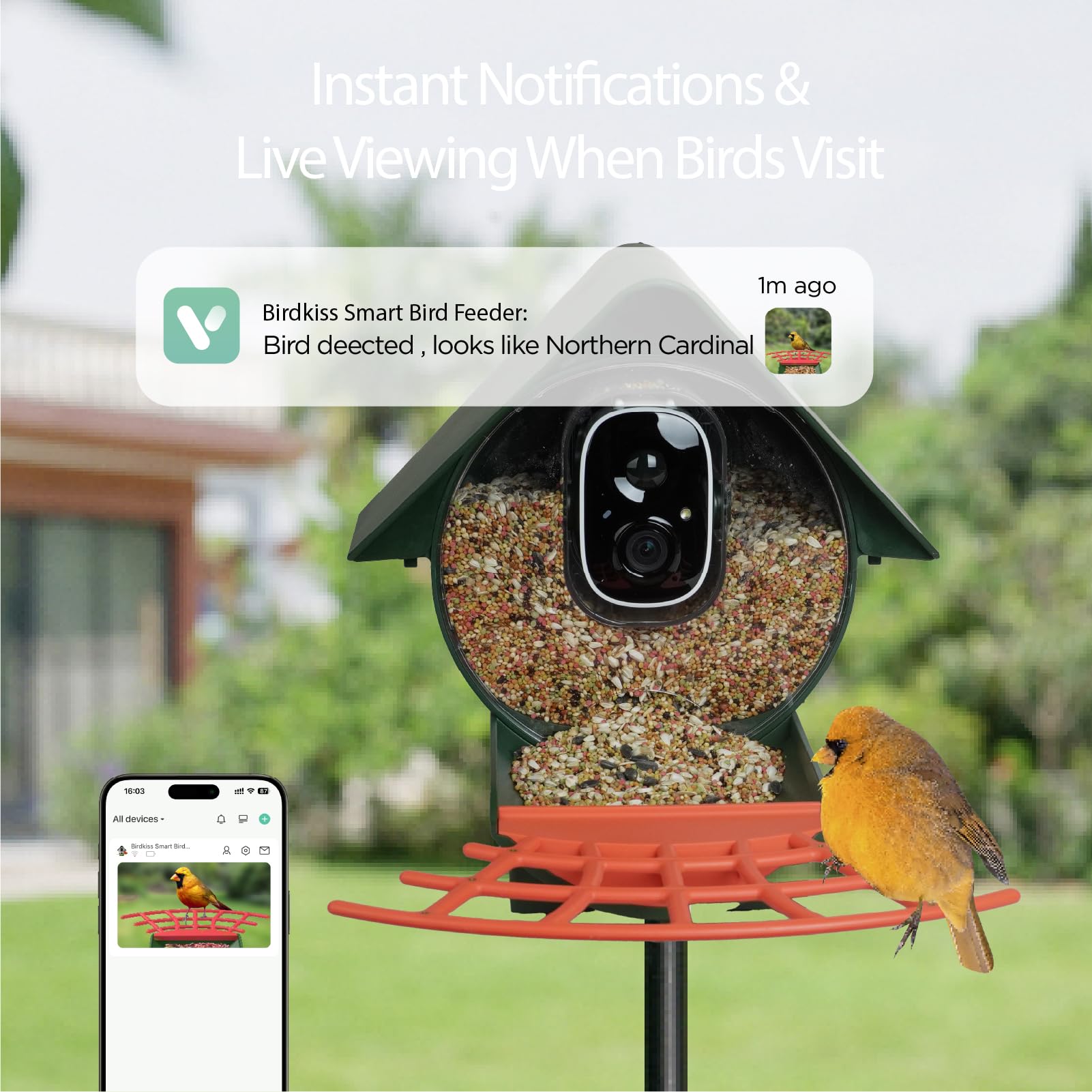 Birdkiss seed hopper open showing 1.25L capacity for less frequent refills