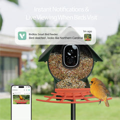 Birdkiss seed hopper open showing 1.25L capacity for less frequent refills