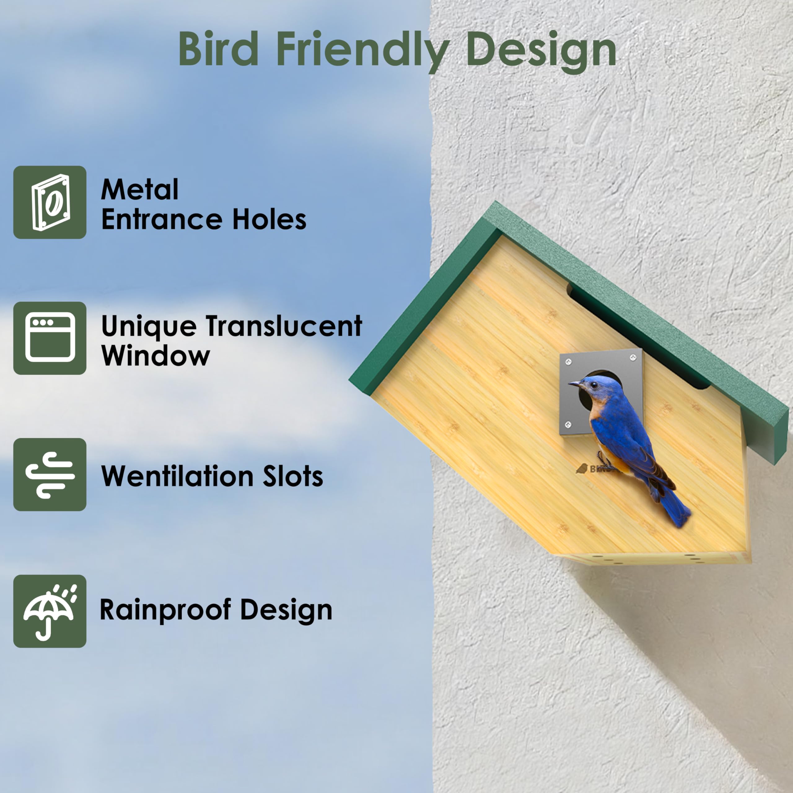 Birdkiss size comparison with hand showing compact dimensions and scale