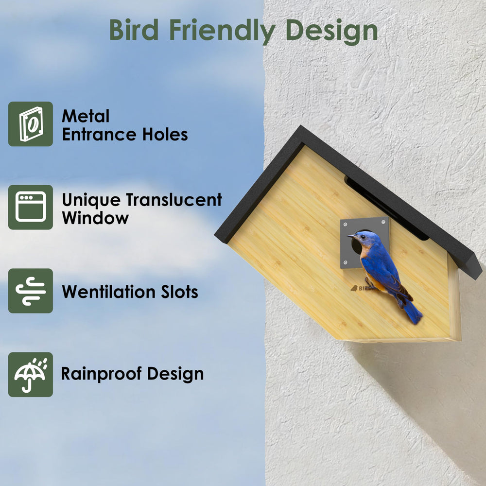 Birdkiss next to a ruler for size scale showing compact installation benefit