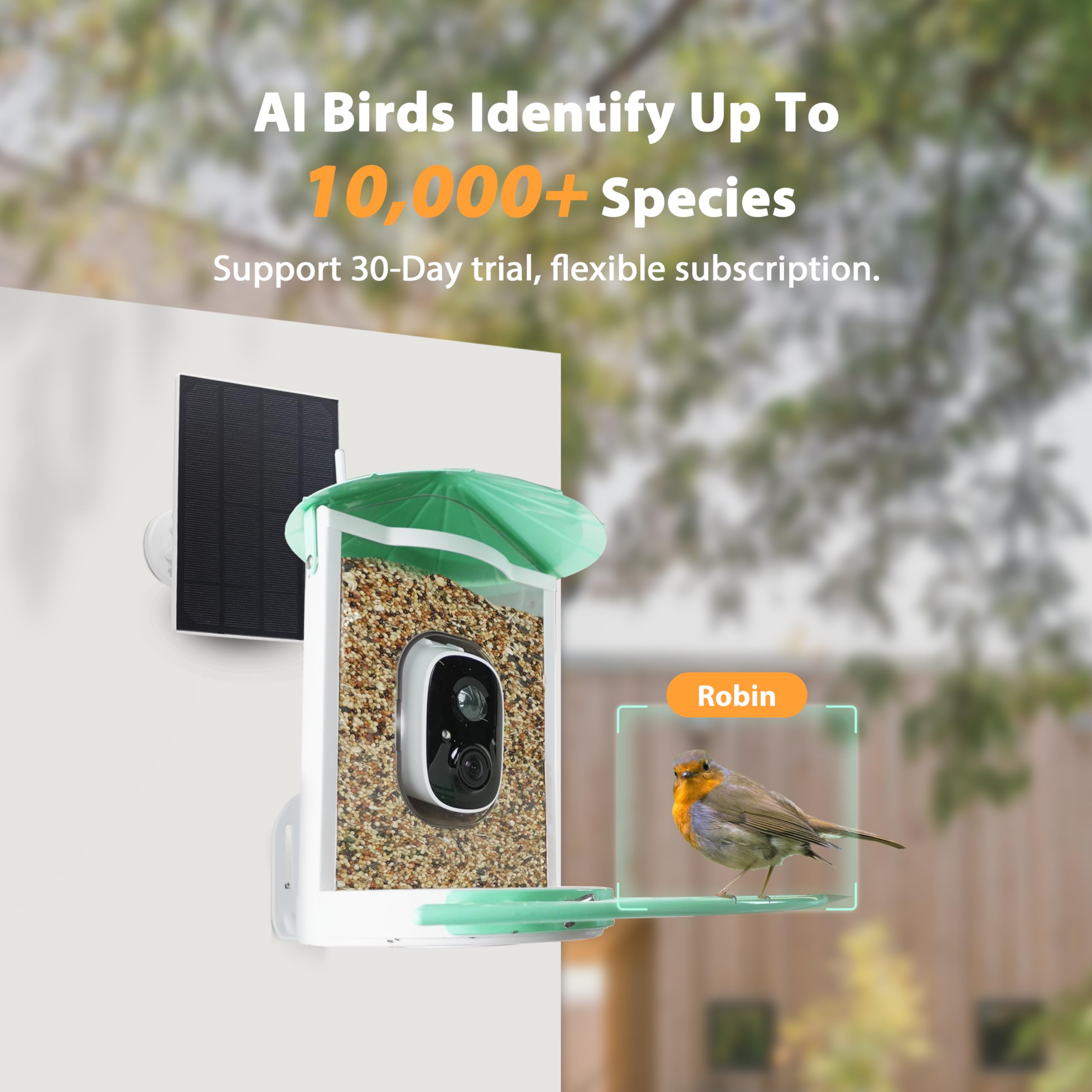 Birdkiss solar panel mounted delivering continuous charging and eco-friendly power