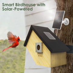 Birdkiss solar panel on top highlighting continuous charging benefit