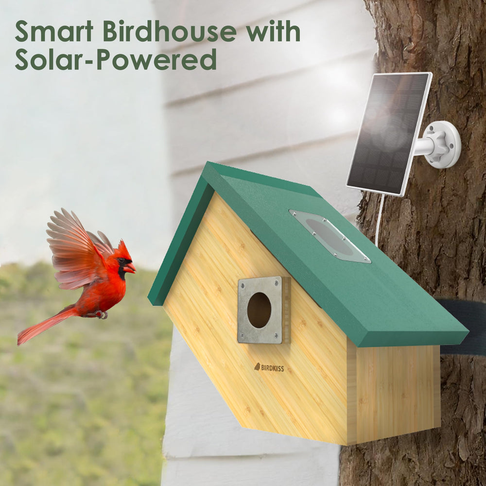 Birdkiss solar panel close shot showing charging capability and eco power