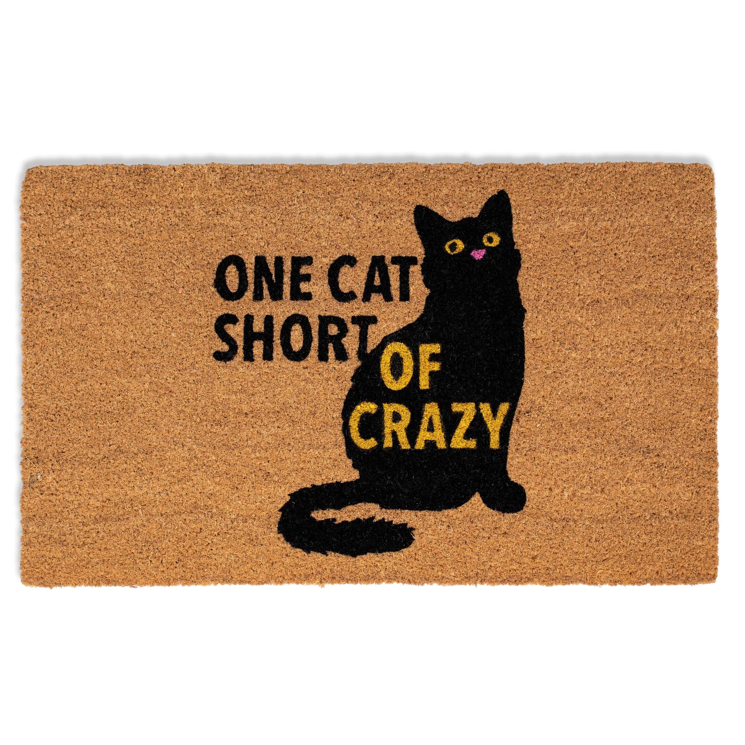 BIRDROCK HOME front view doormat showing welcome design and protection