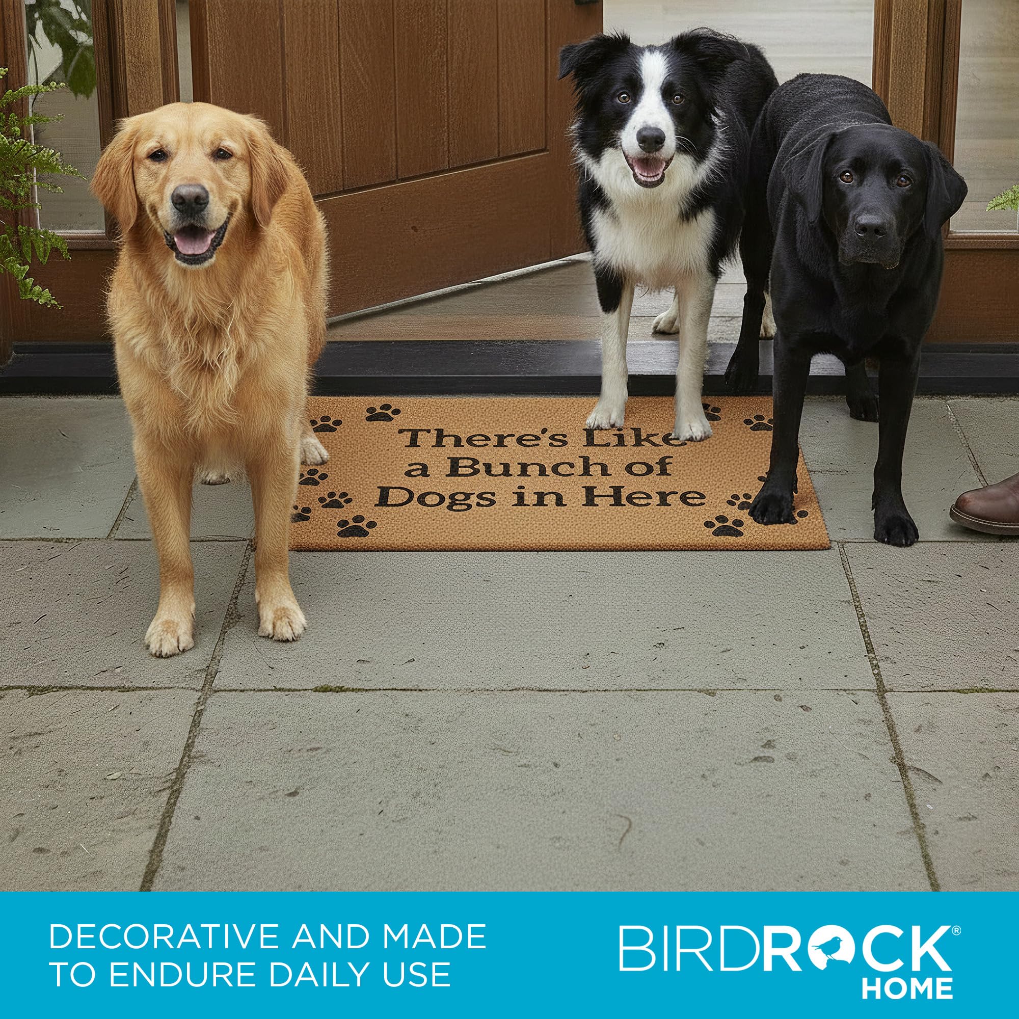 BIRDROCK HOME mat under porch overhang protecting from direct weather