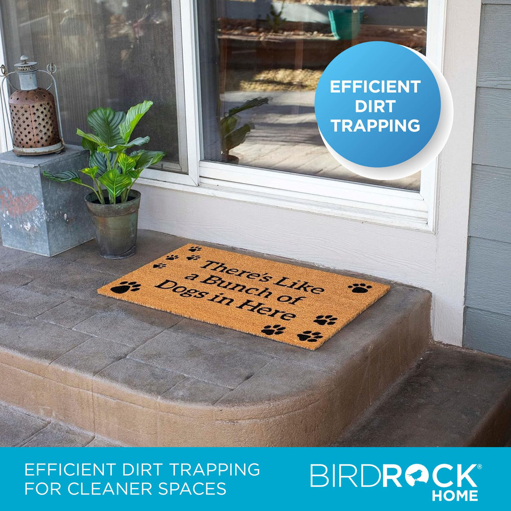 BIRDROCK HOME mat with shoe for scale demonstrating 18 x 30 inch fit