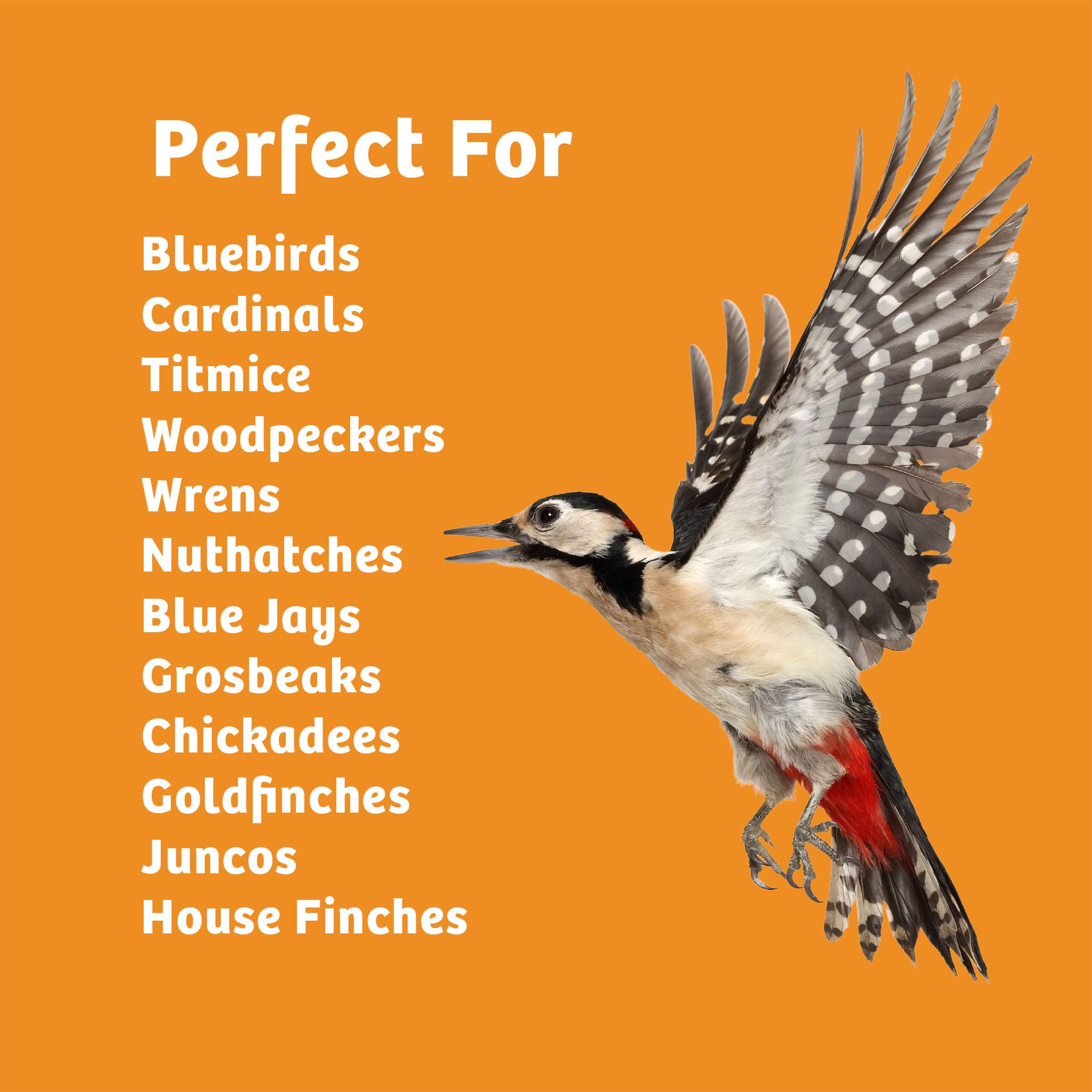 Birds Choice twelve-pack stacked for bulk supply and value