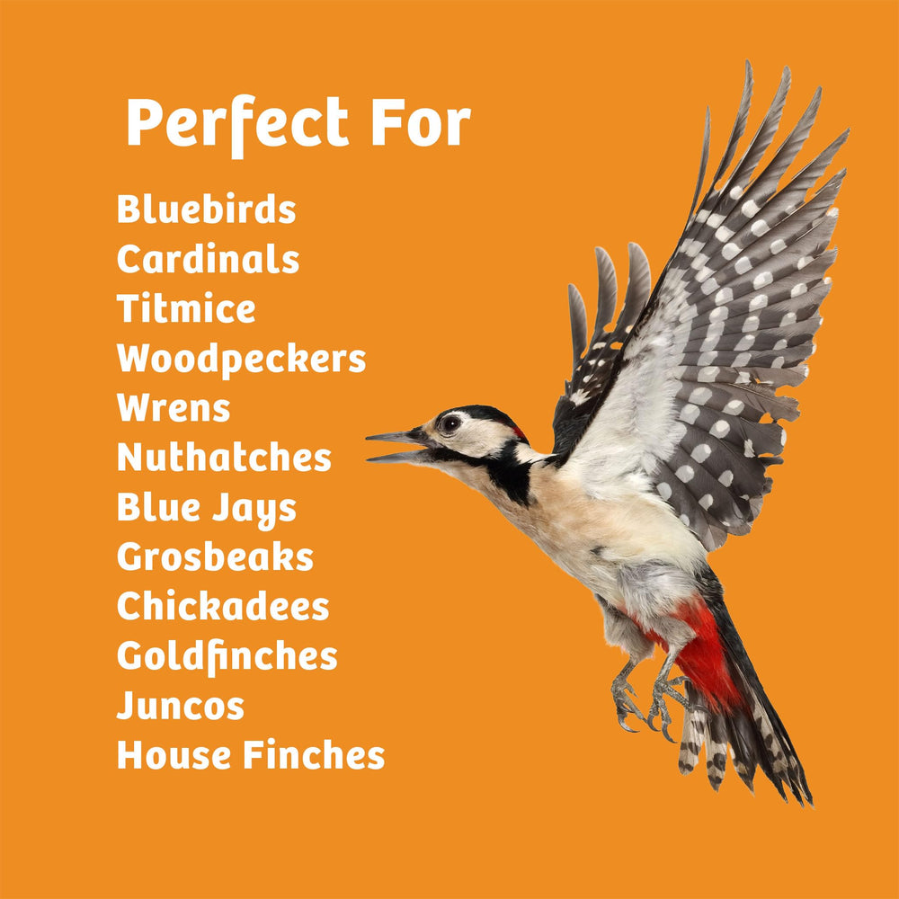 Birds Choice twelve-pack stacked for bulk supply and value