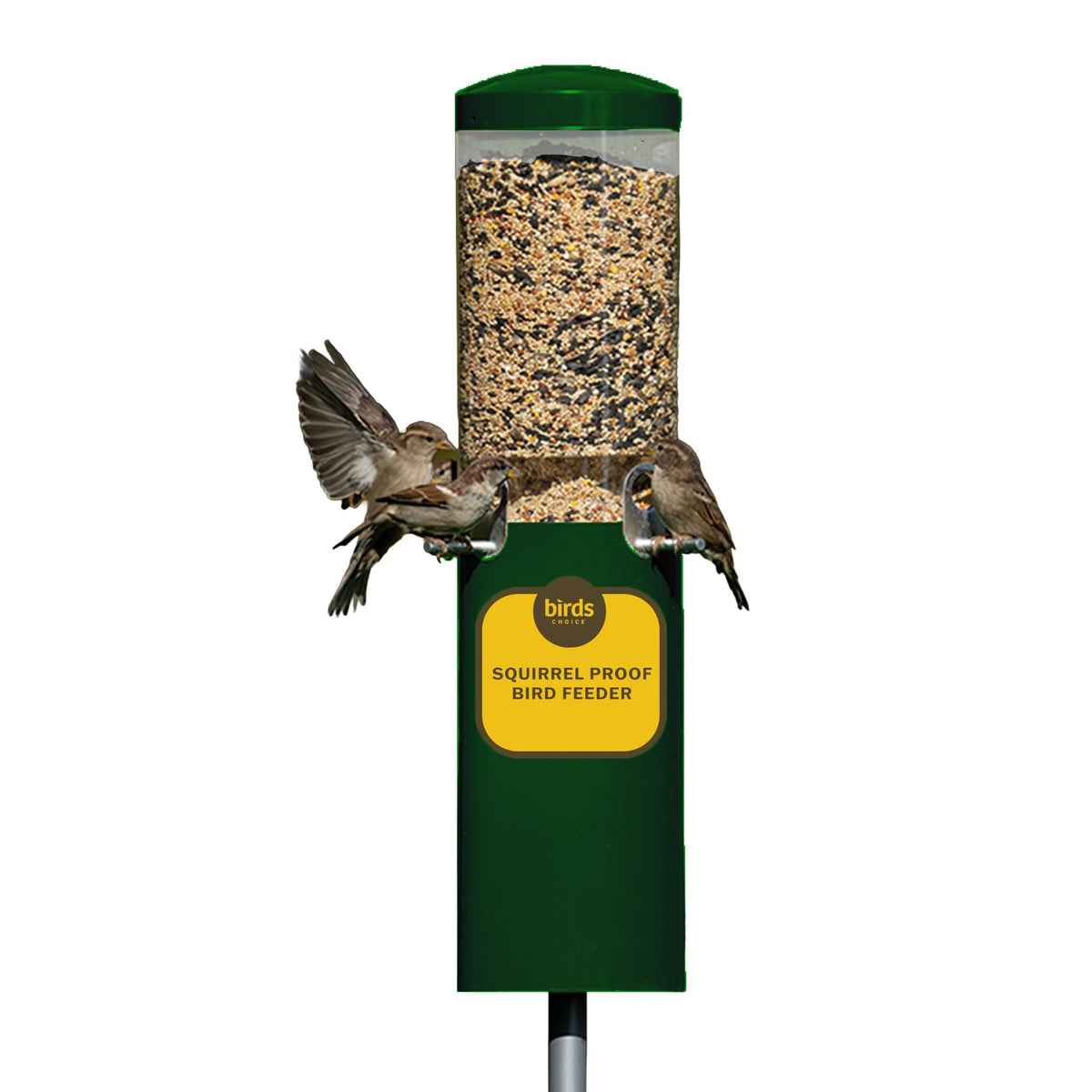 Birds Choice front view of pole-mounted feeder showing stable setup and access