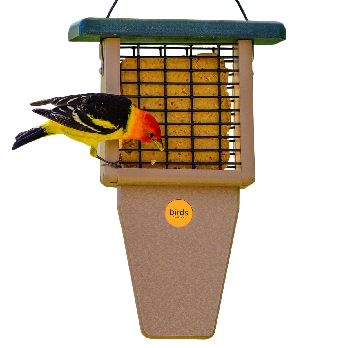 Birds Choice front view showing taupe body and green roof, durable outdoor feeder benefit