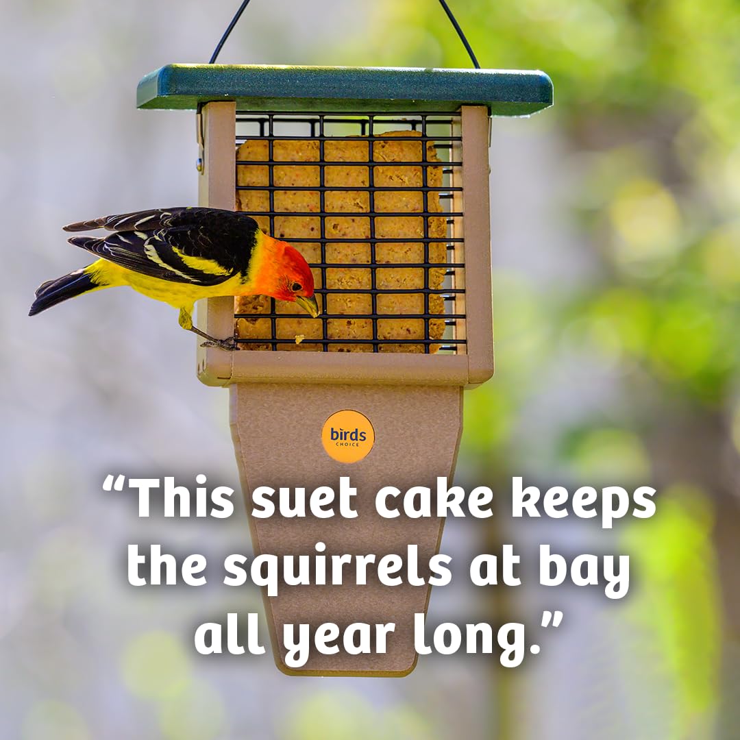 Birds Choice nutrition label close-up showing protein and fat content
