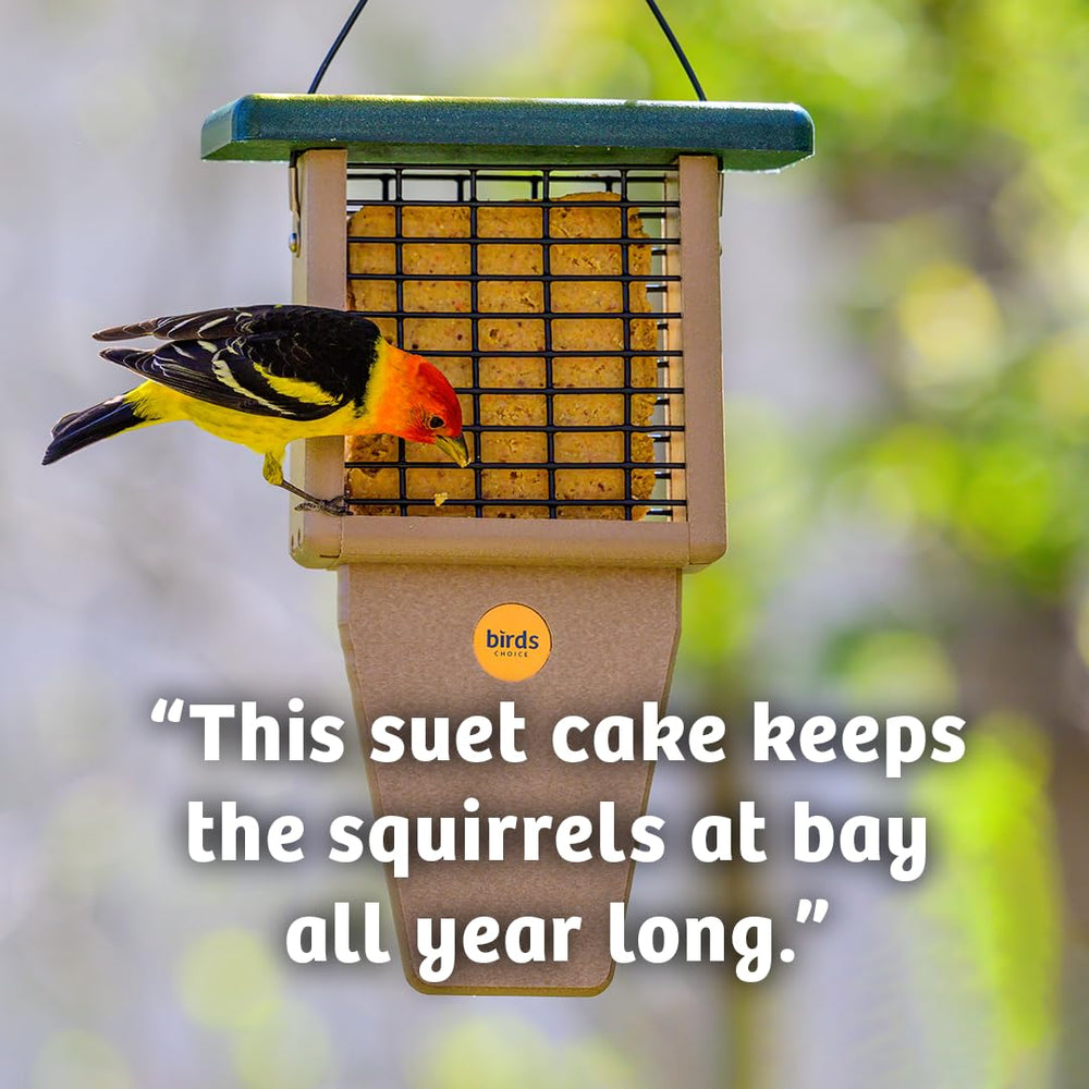 Birds Choice nutrition label close-up showing protein and fat content