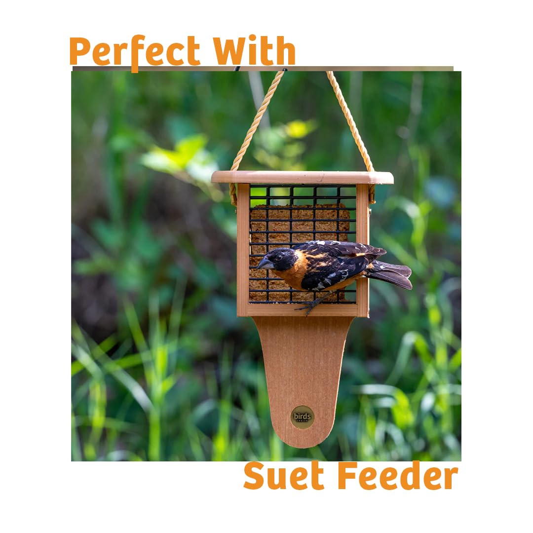 Birds Choice outdoor winter feeder scene encouraging year-round feeding