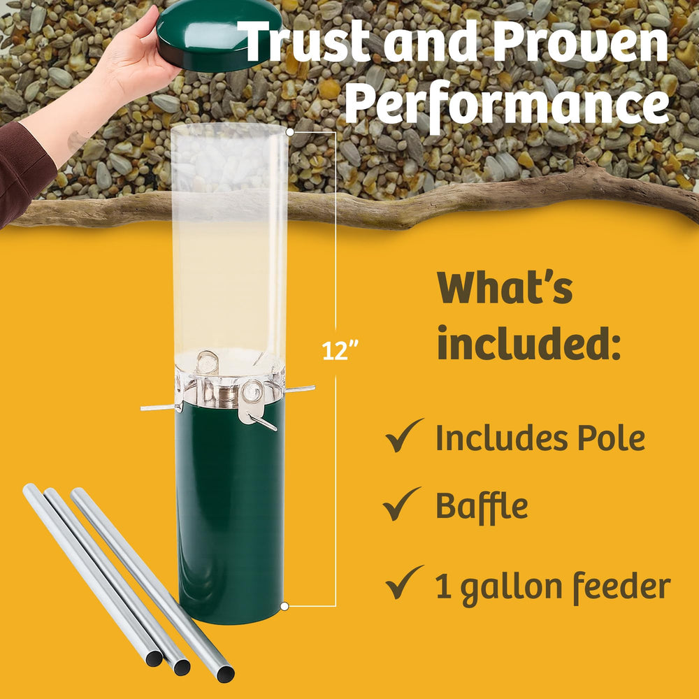 Birds Choice aluminum perches and seed ports letting multiple birds feed comfortably