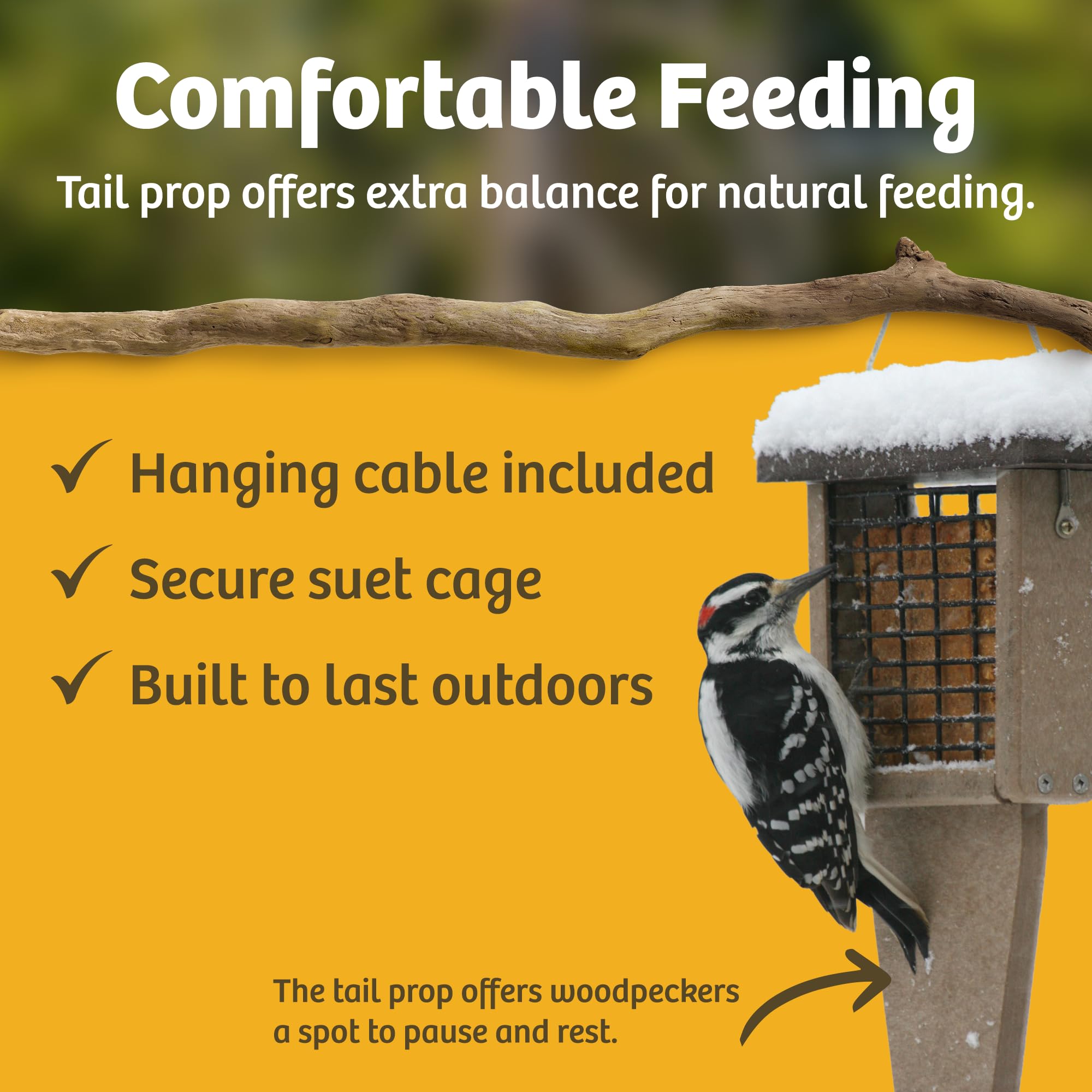 Birds Choice feeder in use with woodpecker illustrating attraction benefit