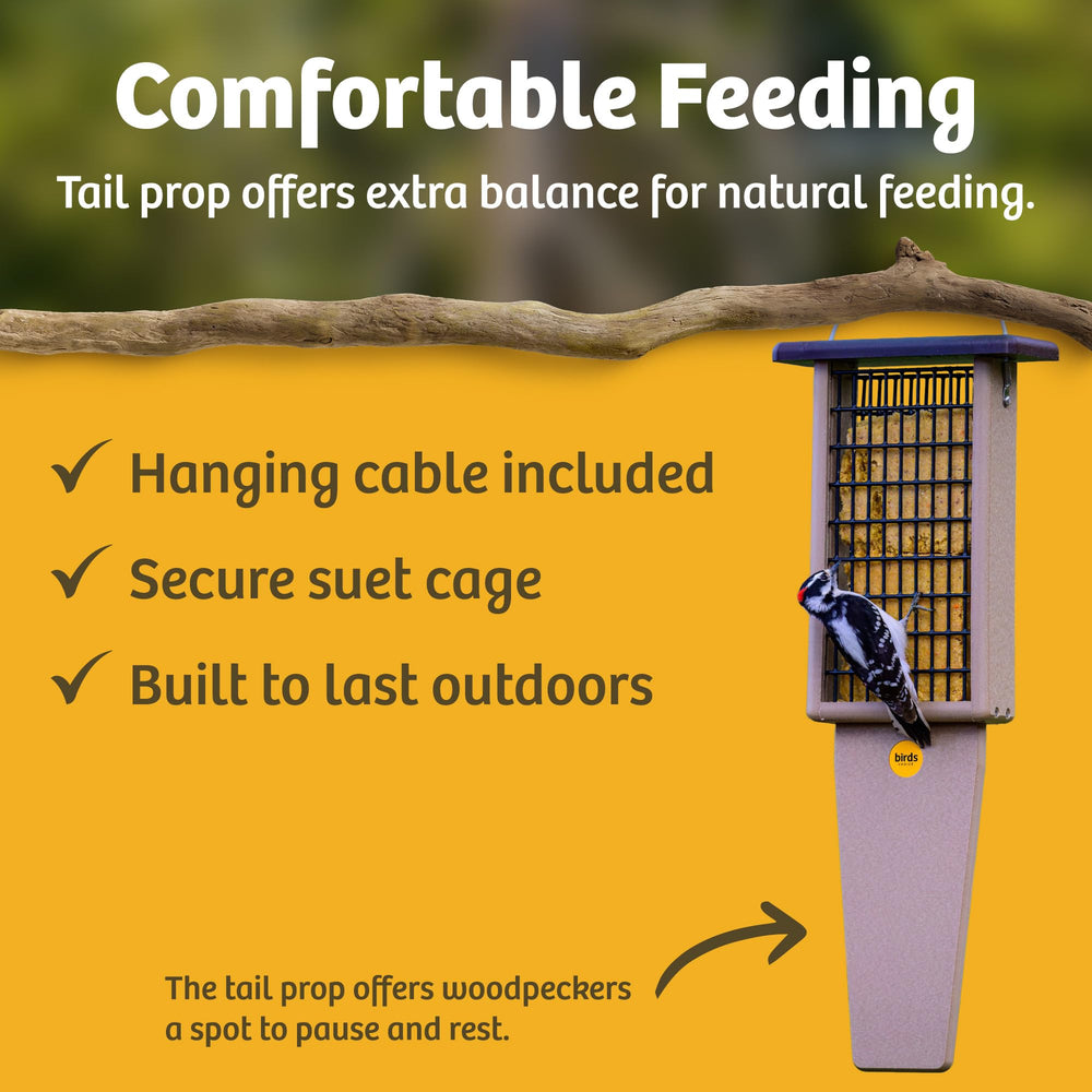 Birds Choice scale comparison with hand showing feeder size and capacity