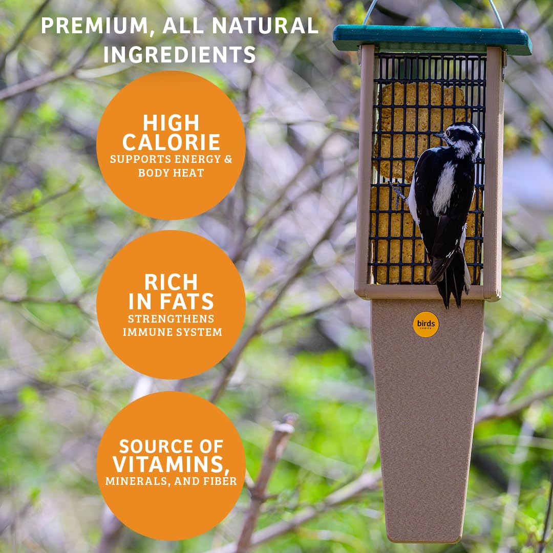 Birds Choice suet cake placed in feeder for easy bird access