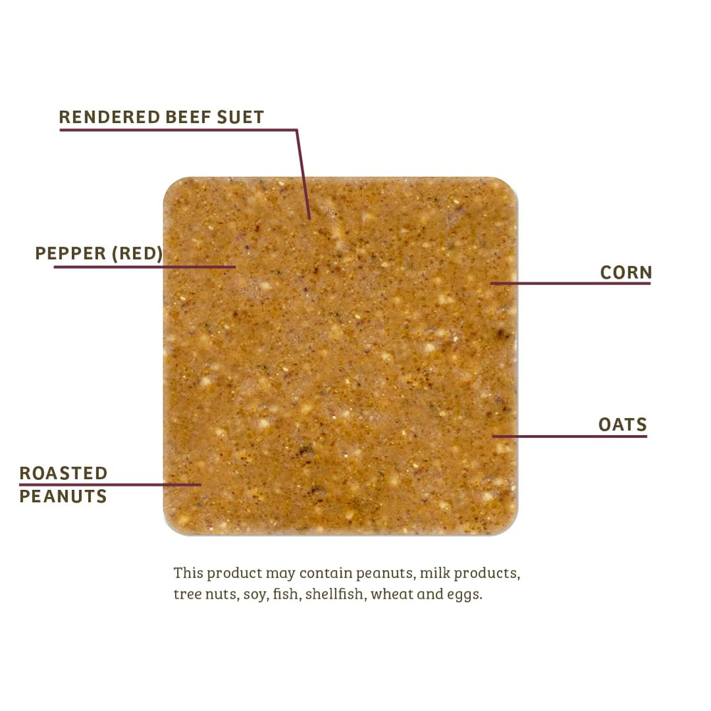 Birds Choice detailed suet texture highlighting firm no-melt consistency