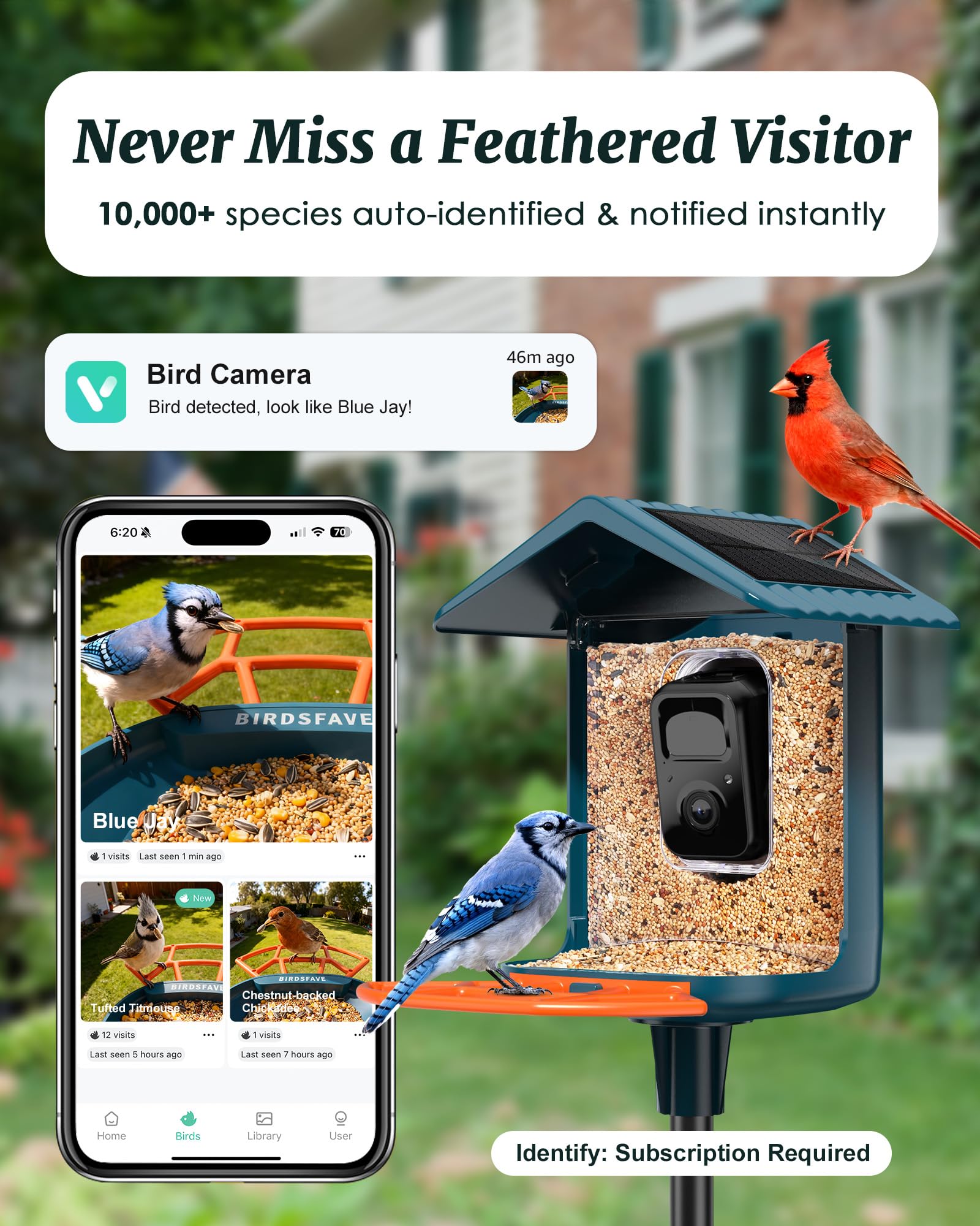 BIRDSFAVE camera lens close-up capturing sharp 2K video detail