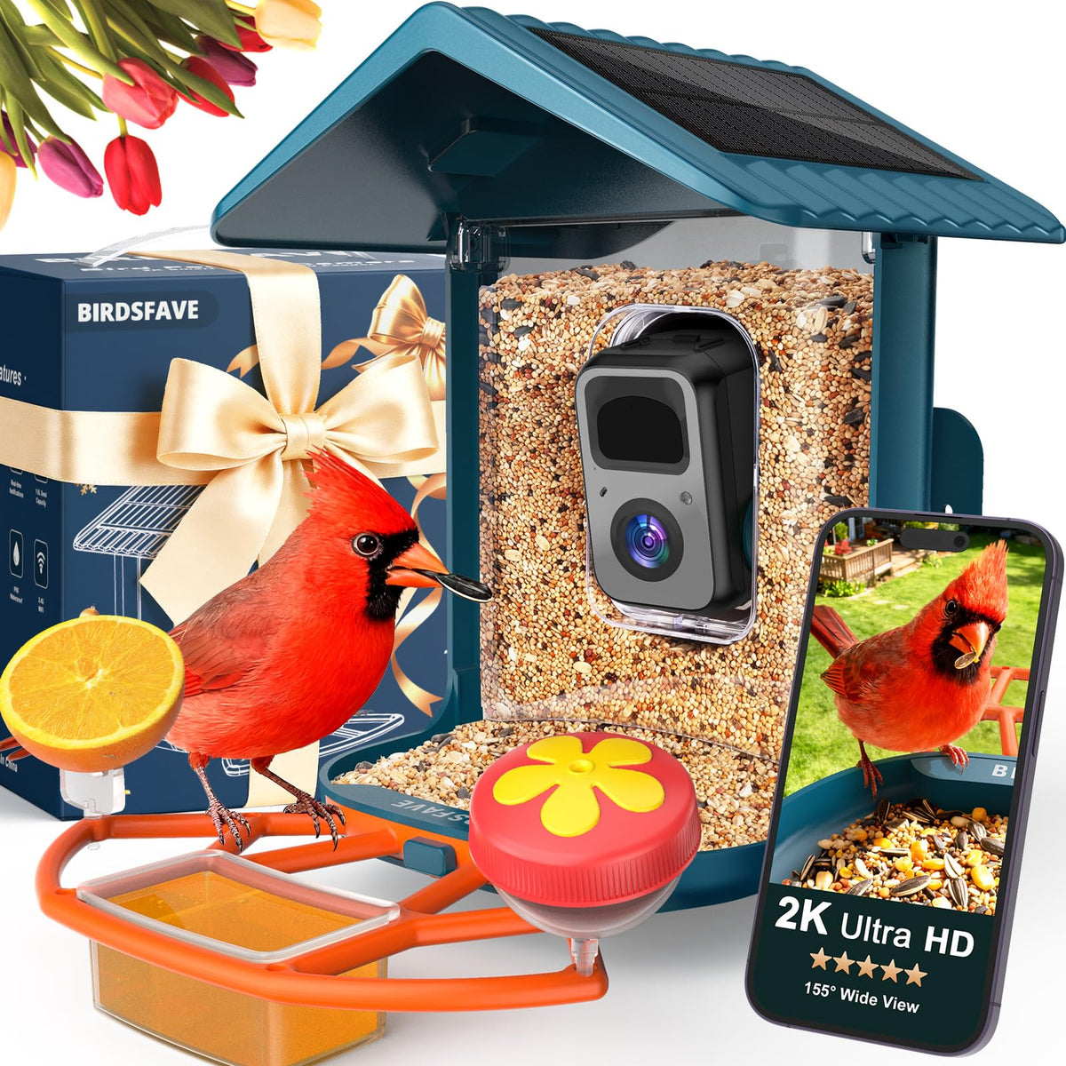 BIRDSFAVE feeder front view showing tray and camera for clear bird observation